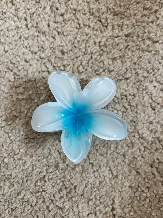 Pince hibiscus bleu