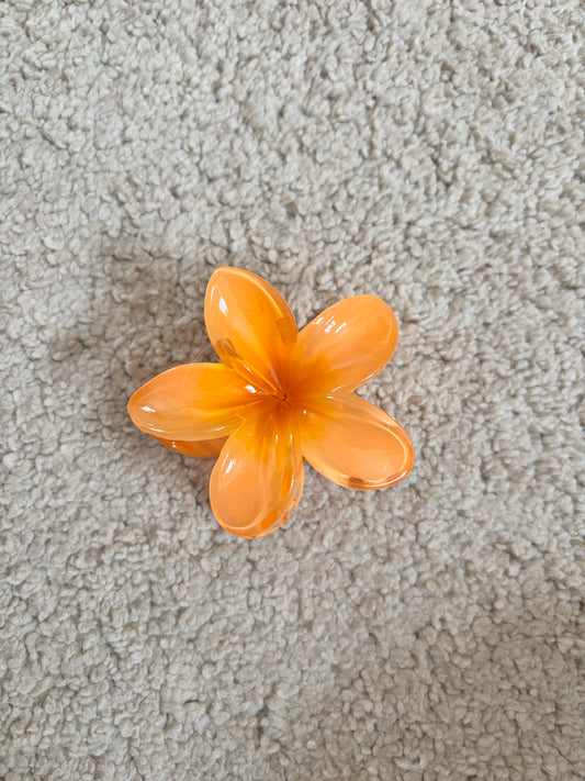 Pince hibiscus orange