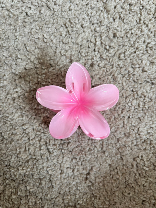 Pince hibiscus rose