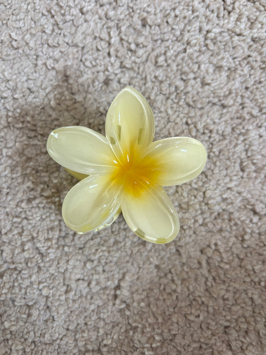 Pince hibiscus jaune