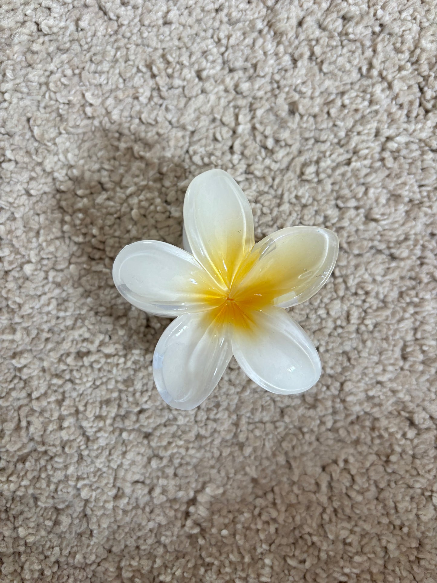 Pince hibiscus blanc/jaune