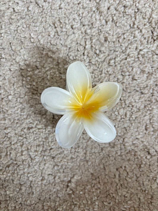 Pince hibiscus blanc/jaune