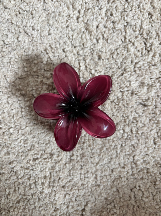 Pince hibiscus rouge