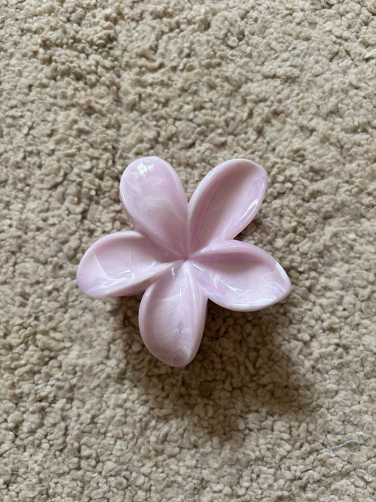 Pince hibiscus rose